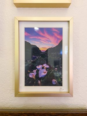 Picked up this photo of lilies at sunset