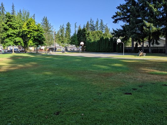 Basketball court