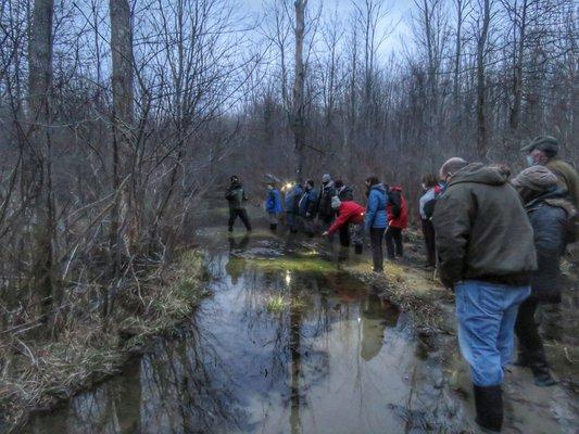 Vernal pool