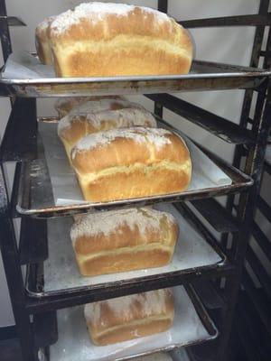 Homemade Sour Dough Bread