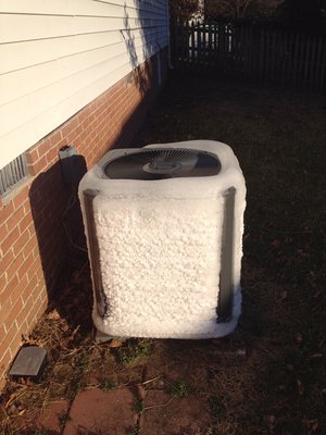 Do not let your heat pump look like this