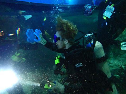 Dive Inspection at The National Aquarium Atlantic Coral Reef Exhibit