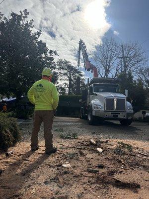 EMERGENCY TREE REMOVAL 24/7 Response.