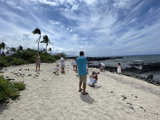 Waikoloa weddings under 500 dollars.