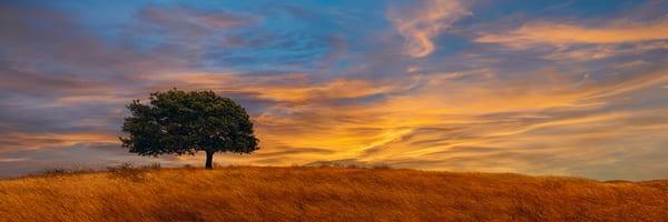 Peter Lik - Blazing Skies