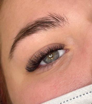 Volume Lashes