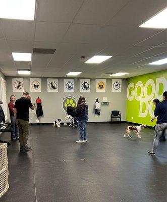 Puppy Class!