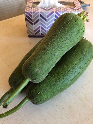 Summer squash (Taiwan water loofah)