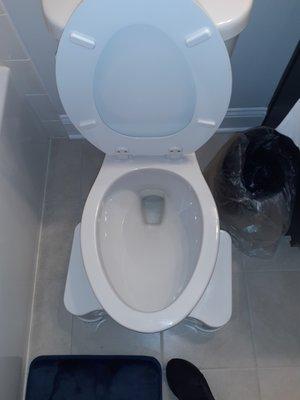 Toilets are left without hard water stains and completely sanitized inside, outside and around the bowl.