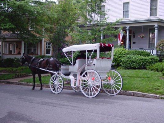 Carriage Rides