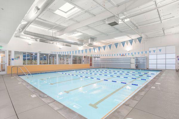 Our beautiful pool is as beautiful today as the day it was built in 2014.