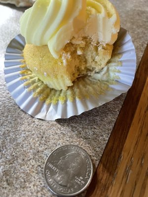 Lemon Cupcake