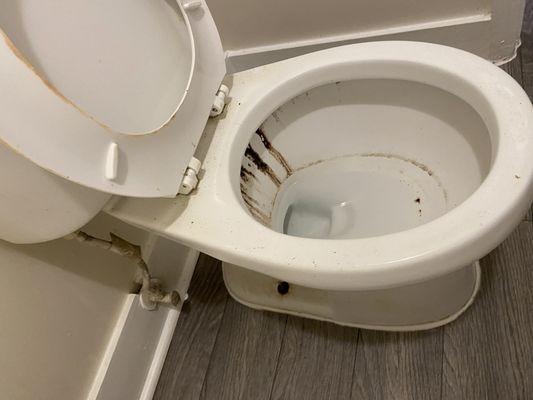 dirty toilet that runs all night. they came and fixed it and still running. water wasting. the shower also does not work.