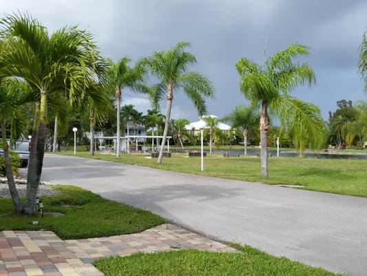 View of activity area, horseshoes and schuffleboard area and beautiful pond