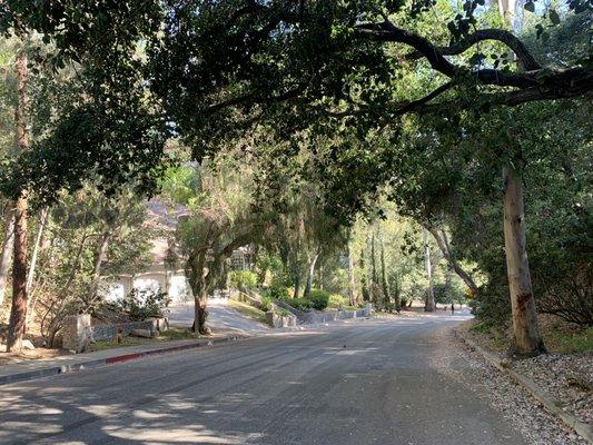 Coming down or going up thru this Residential Area to the trail