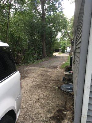 Driveway after completion of trimming #4