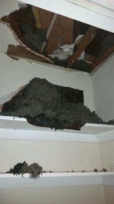 Ceiling caved in due to a bad roof. It's been constantly leaking for days.