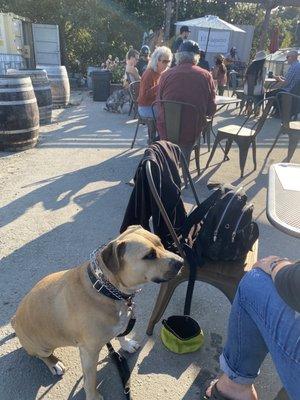 Ample patio space that's dog friendly.