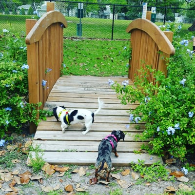 Fiona and Layla check out their new favorite park!