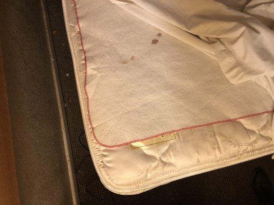 No top sheet, unwashed blood stains (still stiff)