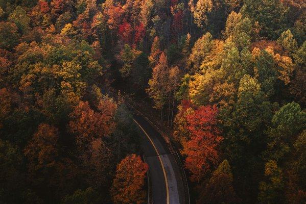 Tennessee is so beautiful.The colors of trees during fall are breath taking. We want to offer breath experience when working with us. SEO