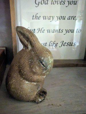 This one is called the praying bunny.