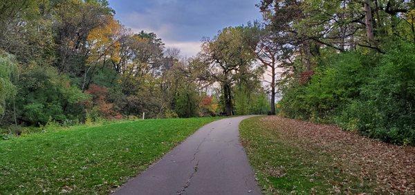 Enjoying a fall walk.