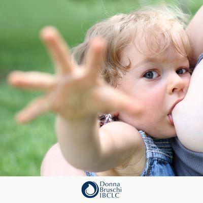 Toddler nursing while looking at the camera