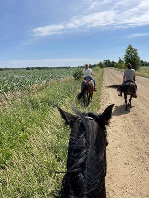 Public Horseback Riding