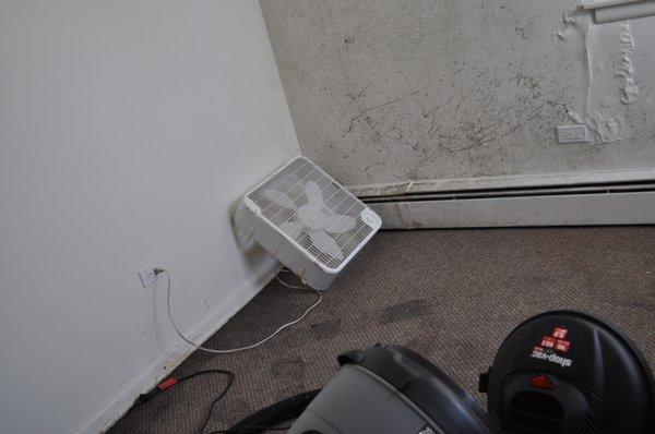 mold remediation