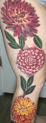 Healing Dahlia with leaves