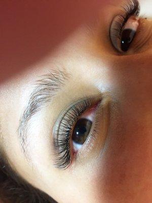 classic lash extensions