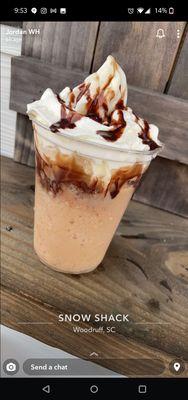 Frosted Mocha Frappuccino