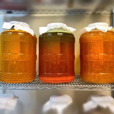 All of the kombucha is brewed in glass fermentation vessels.