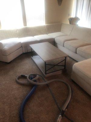 Upholstery Cleaning