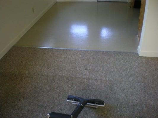 Willamette Valley Carpet Cleaning