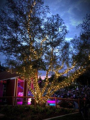 Quarry Park lighting in Rocklin, CA: A beautiful concert evening