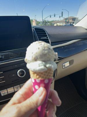 This is a double? Really? My favorite ice cream store and this is it? It's like a Junior scoop for $6.41!