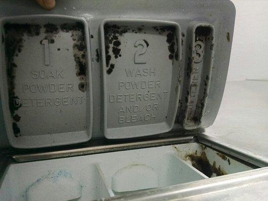 Both of the largest commercial washers had significant mold in the detergent compartment, gross.