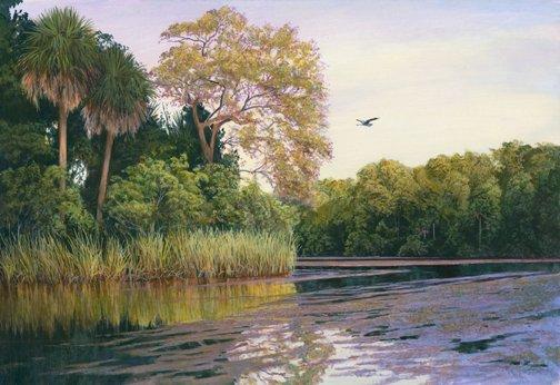 "Chassahowitzka River" by Charles Rowe
 727-734-8200