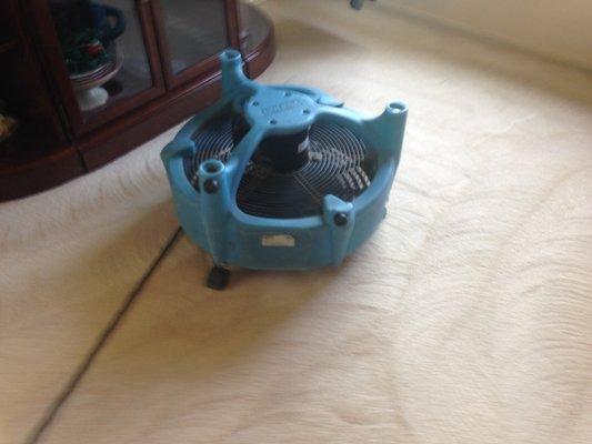 We bring in air movers to dry the carpet while we are cleaning the rest of the carpets.