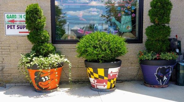 Colorful Maryland themed planters in front of Poor Boy's Garden Center in Parkville, MD.