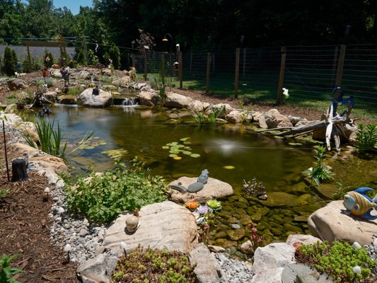 Backyard Koi Pond