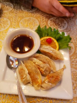 Pot Stickers with Plum Sauce