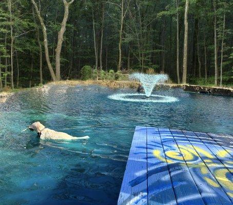 Enjoy our Natural Pond while boarding