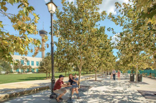 The tree-lined Promenade that runs through Civic Park, connecting it to Yanaguana Garden.