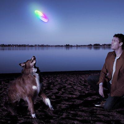 Flashflight LED Dog Discuit