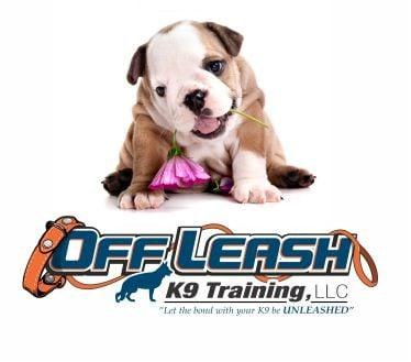 Off Leash K9 Training