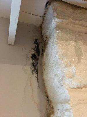 Black mold from chimney