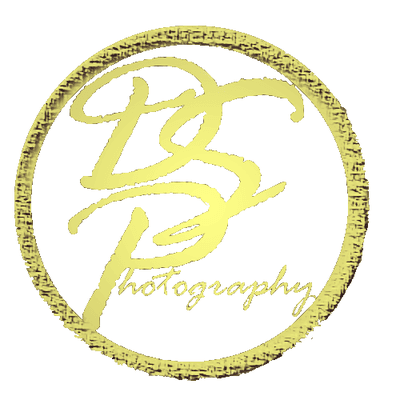 Dale Summers Photography Logo